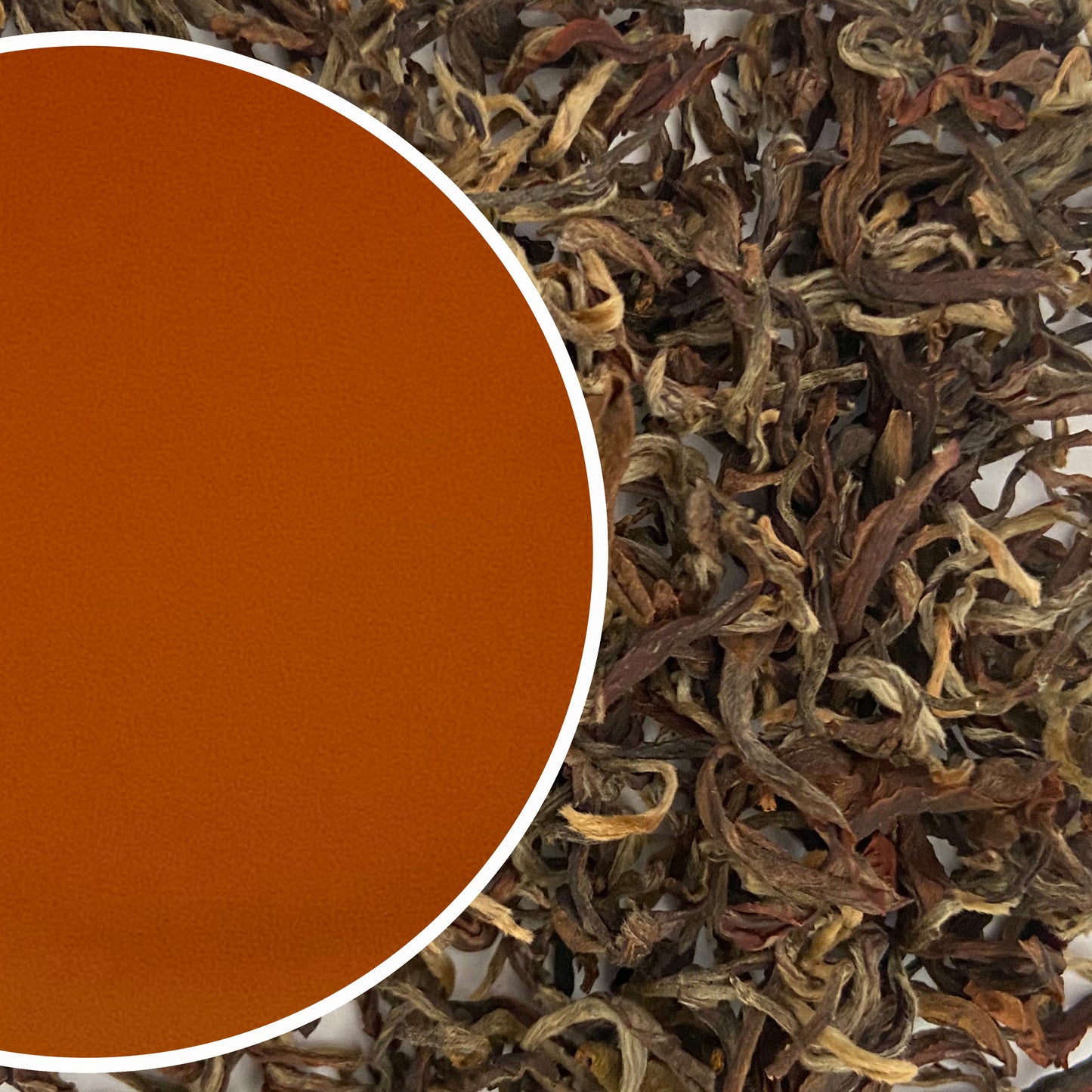 Arya - Summer Diamond Organic Darjeeling Black Tea Second Flush 2023