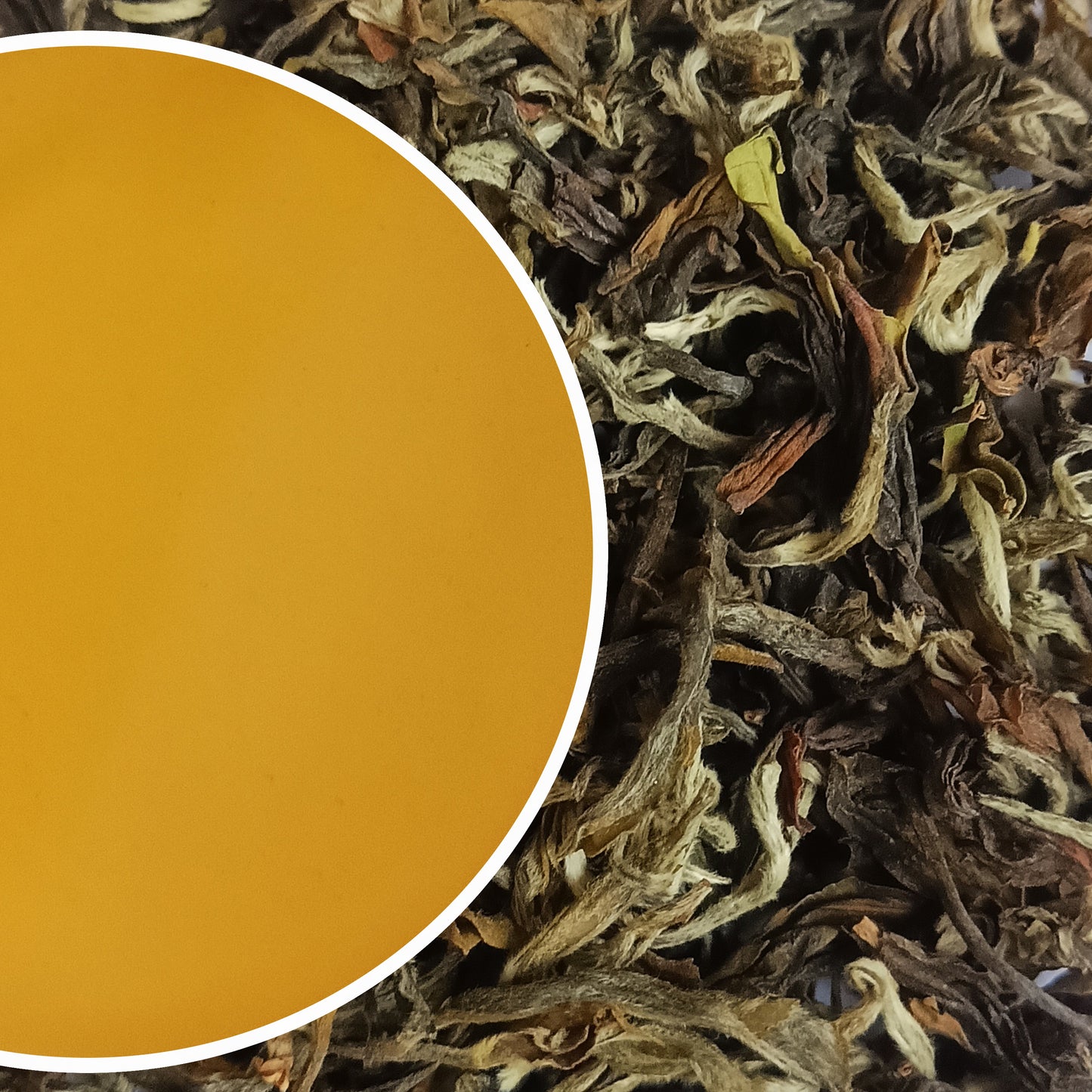 Badamtam - Moonlight Horizon Organic Darjeeling Black Tea Second Flush 2023