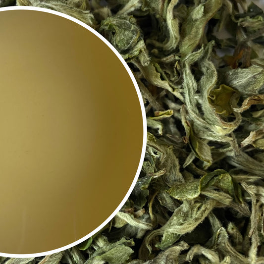 Badamtam - White Heritage Organic Darjeeling White Tea First Flush 2024