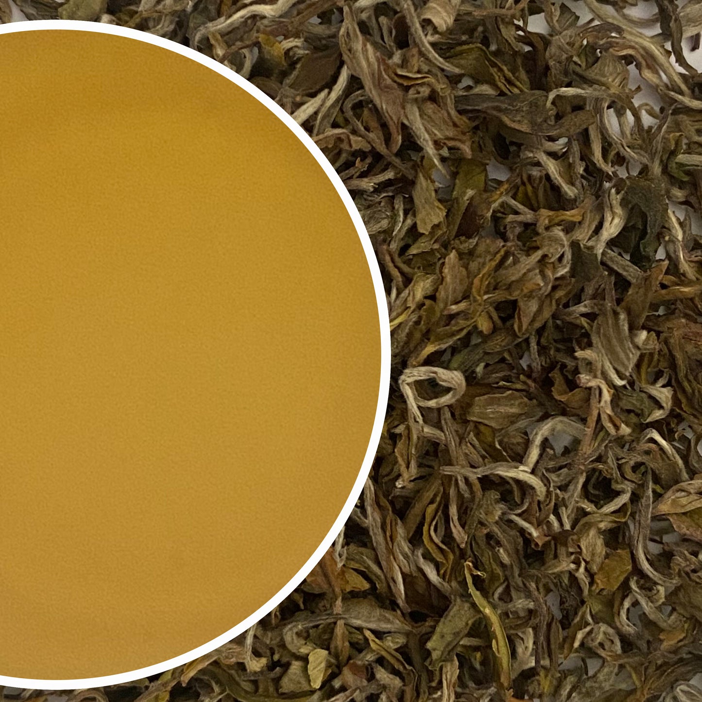 Castleton - Moonlight Grace Darjeeling Black Tea Second Flush 2023
