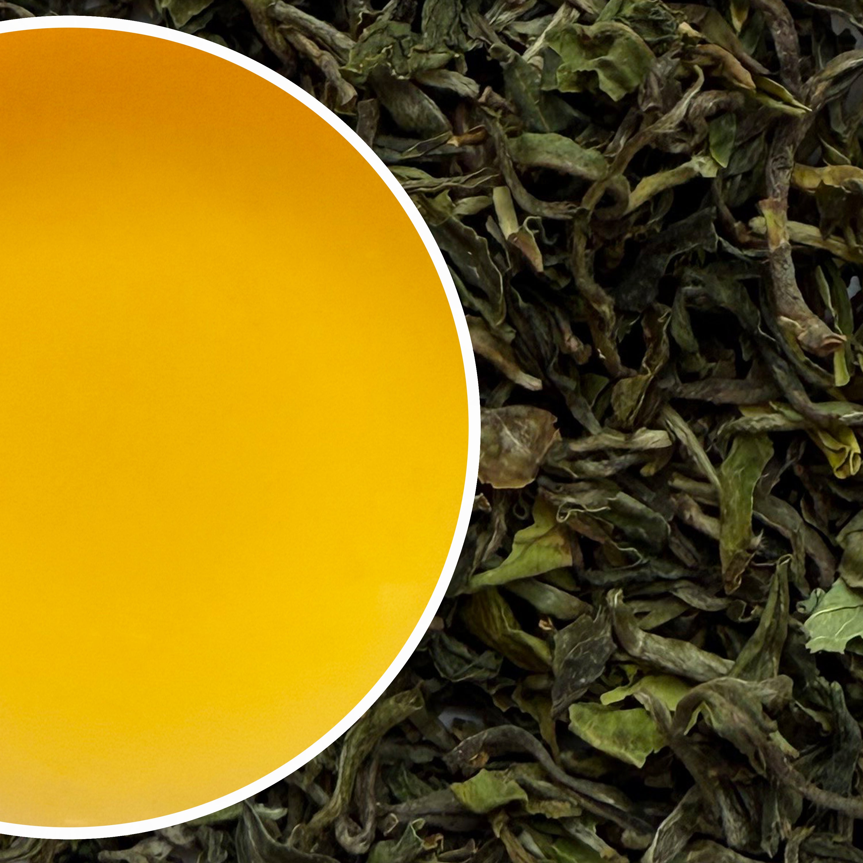 Avongrove - Imperial Spring Classic Organic Darjeeling Black Tea First Flush 2025