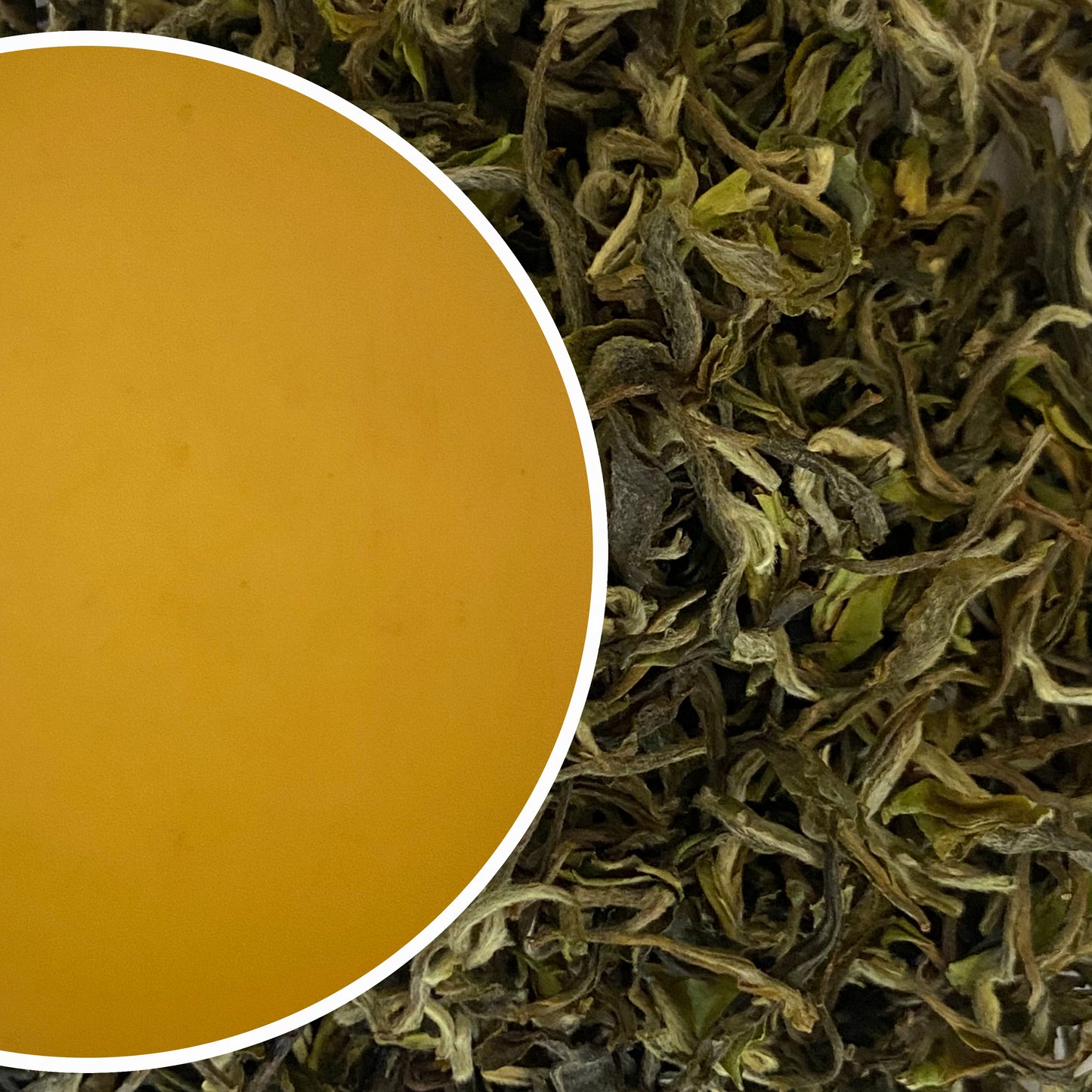 Turzum - Moonlight Star Organic Darjeeling Black Tea First Flush 2023