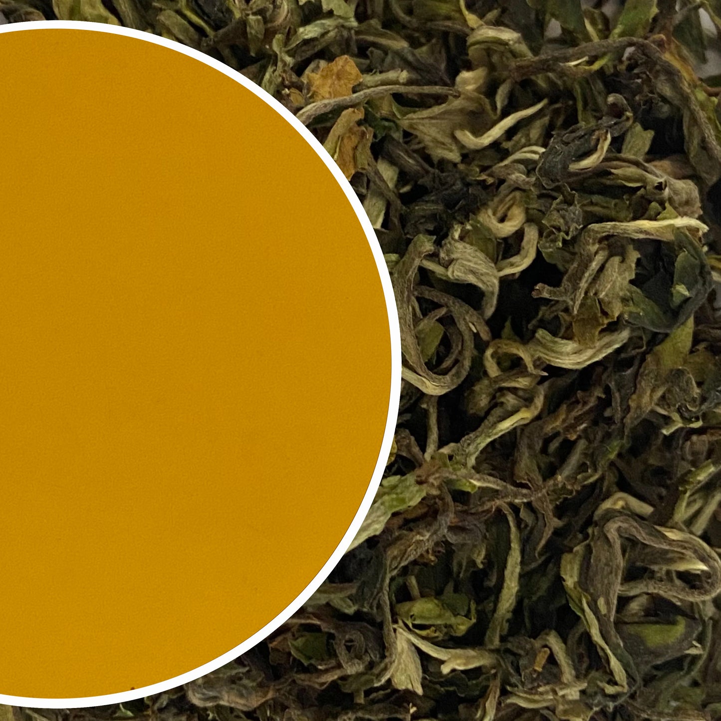Small grower - White Frost White Tea Autumn Flush 2022
