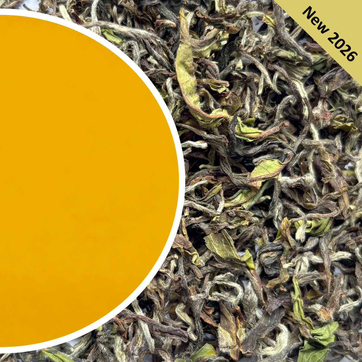 Arya - Spring Diamond Organic Darjeeling Tea First Flush 2026