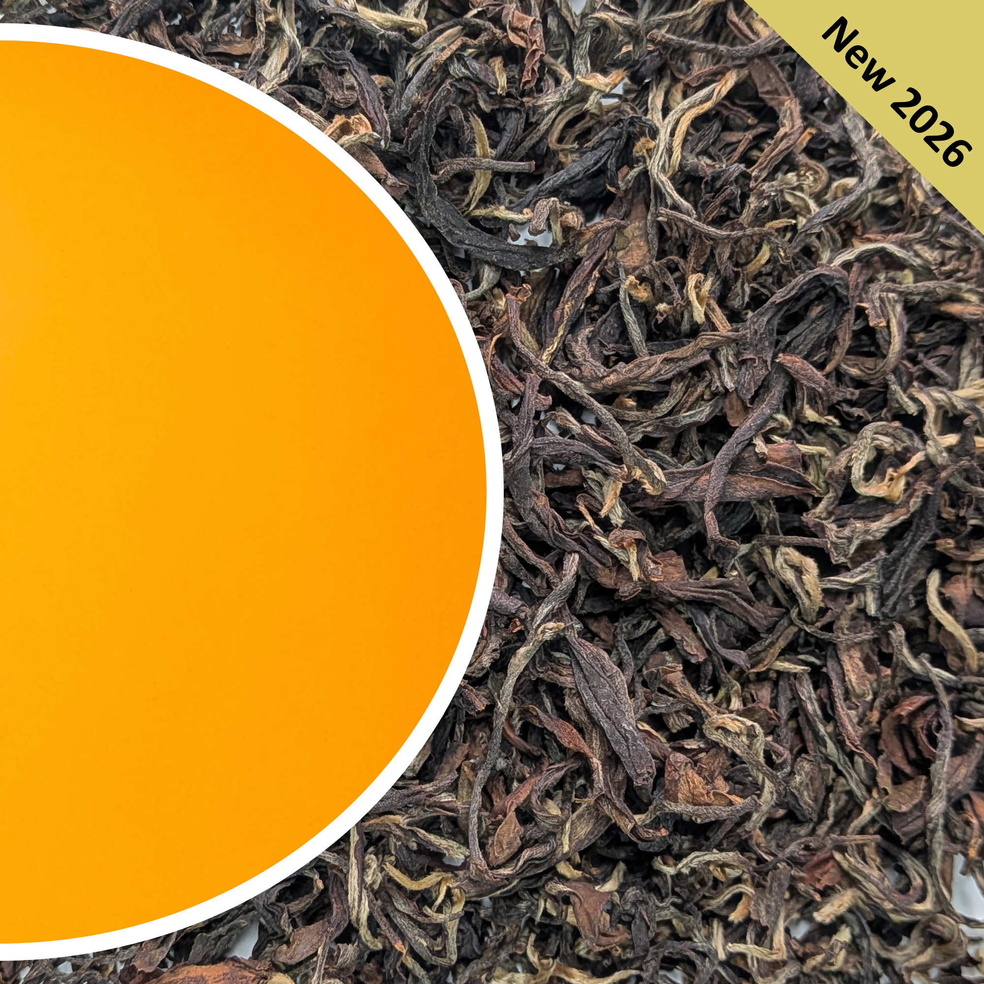 Arya - Summer Diamond Star Organic Darjeeling Tea Second Flush 2026
