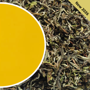 Avongrove - Moonshine Glimmer White Organic Darjeeling Tea First Flush 2026