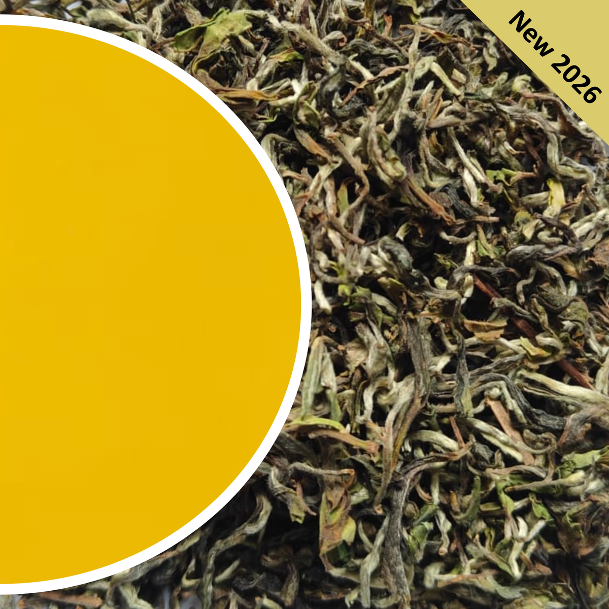 Avongrove - Moonshine Glimmer White Organic Darjeeling Tea First Flush 2026