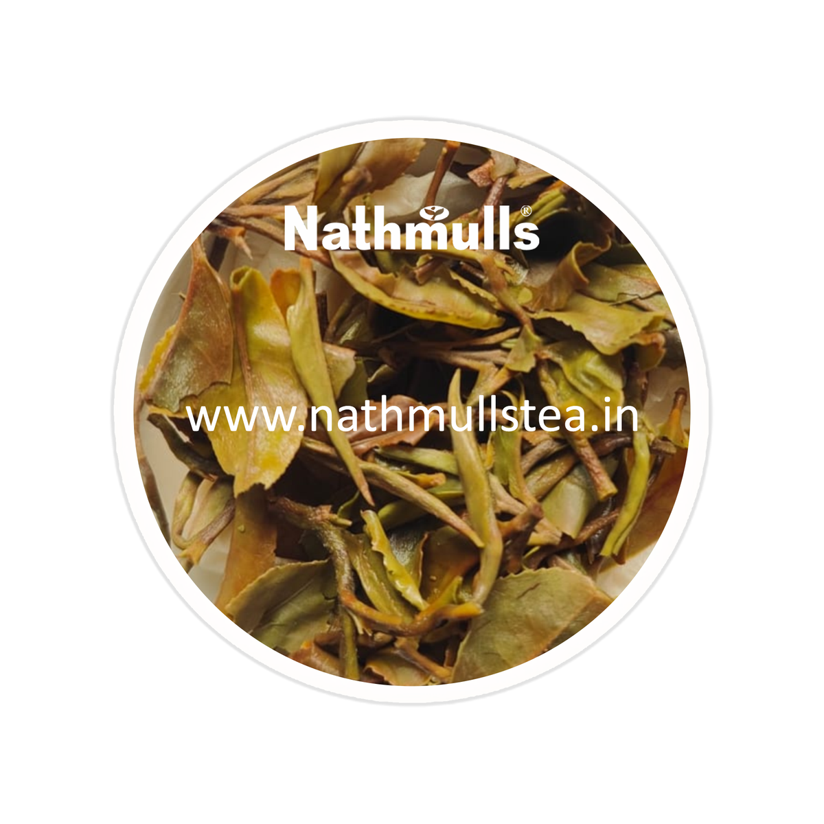 Avongrove - Moonshine Glimmer White Organic Darjeeling Tea First Flush 2026