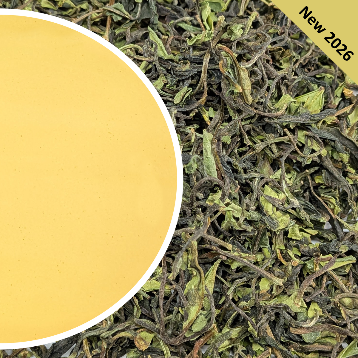 Spring Himalayan Mystique Tea First Flush 2026