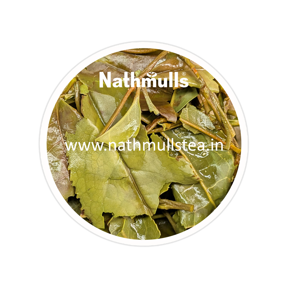 Spring Himalayan Mystique Tea First Flush 2026