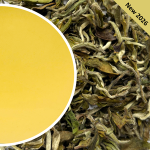 Castleton - Exotic Spring Moonlight Darjeeling Tea First Flush 2026
