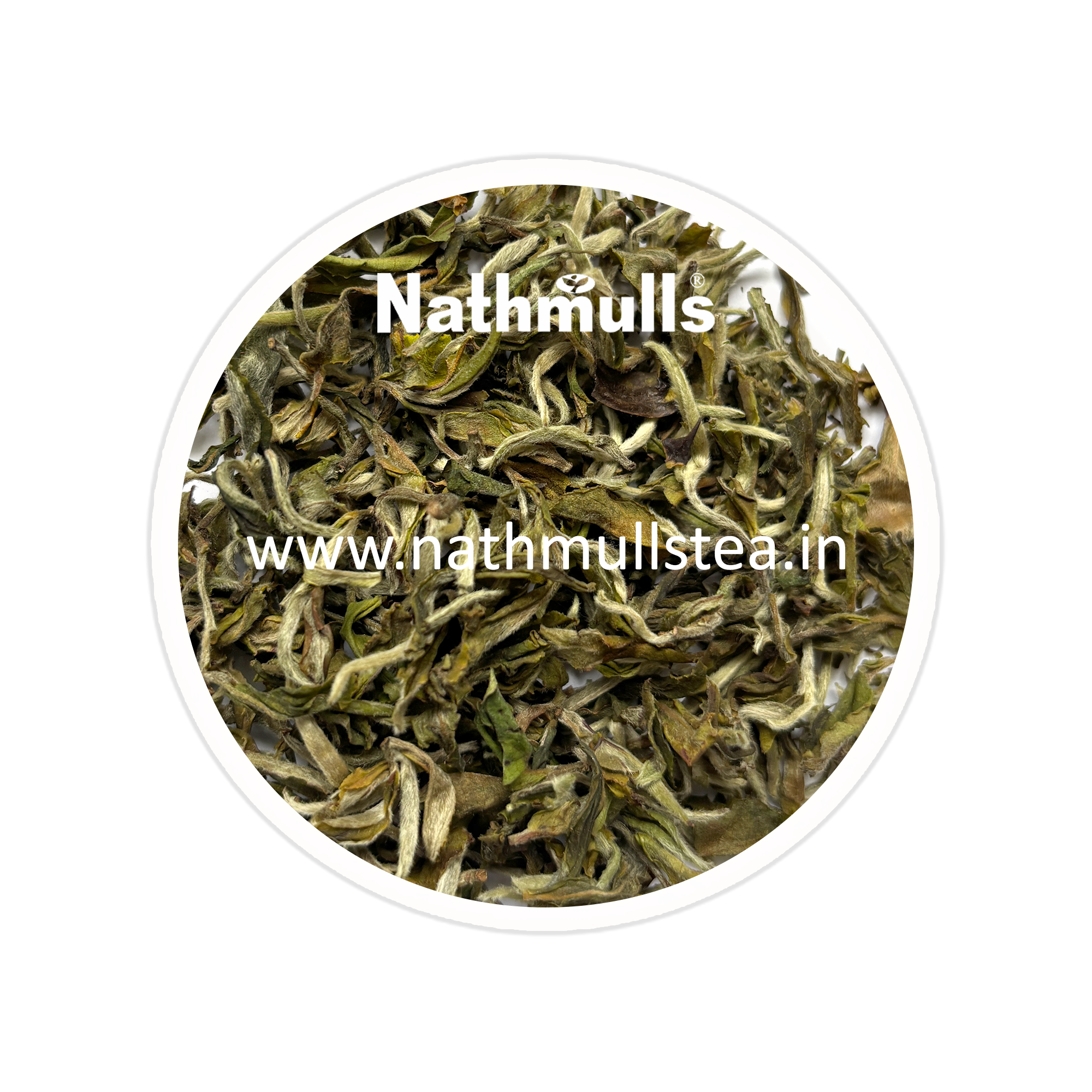 Castleton - Exotic Spring Moonlight Darjeeling Tea First Flush 2026