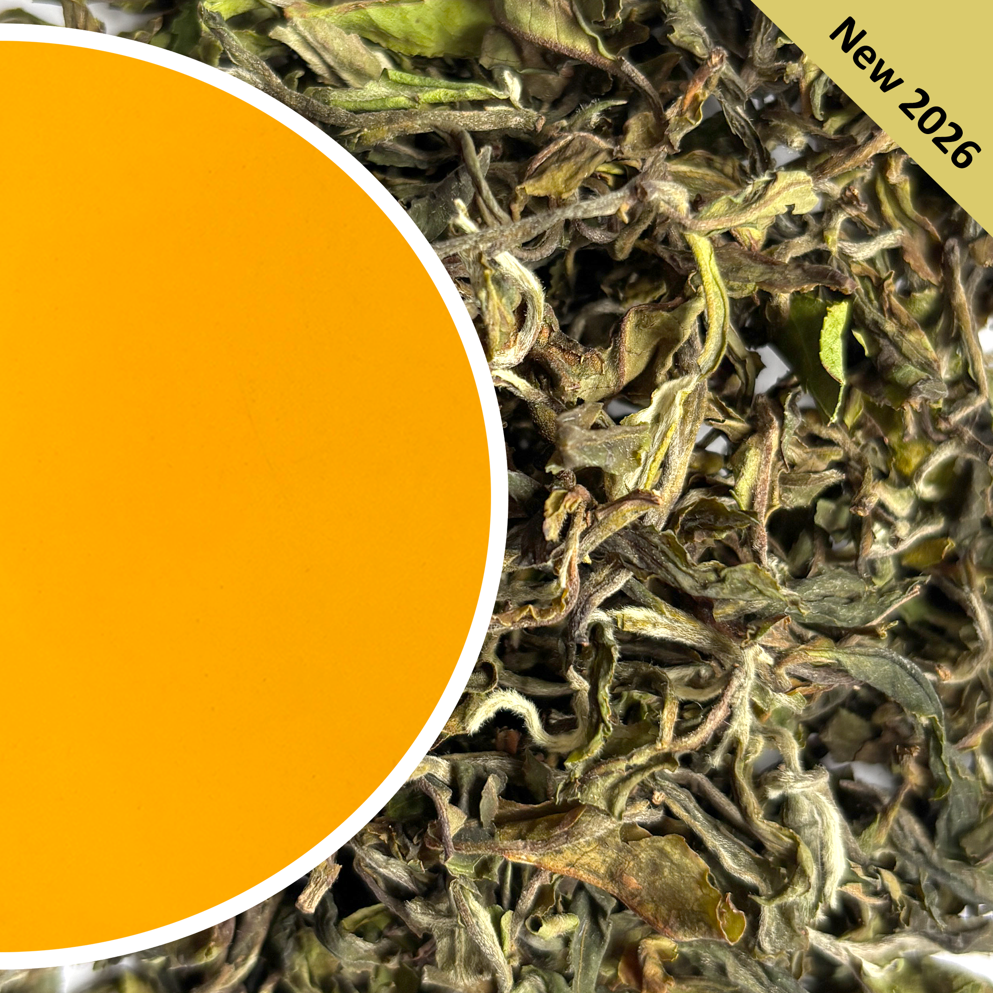 Giddapahar - Clonal Wonder Darjeeling Tea First Flush 2026