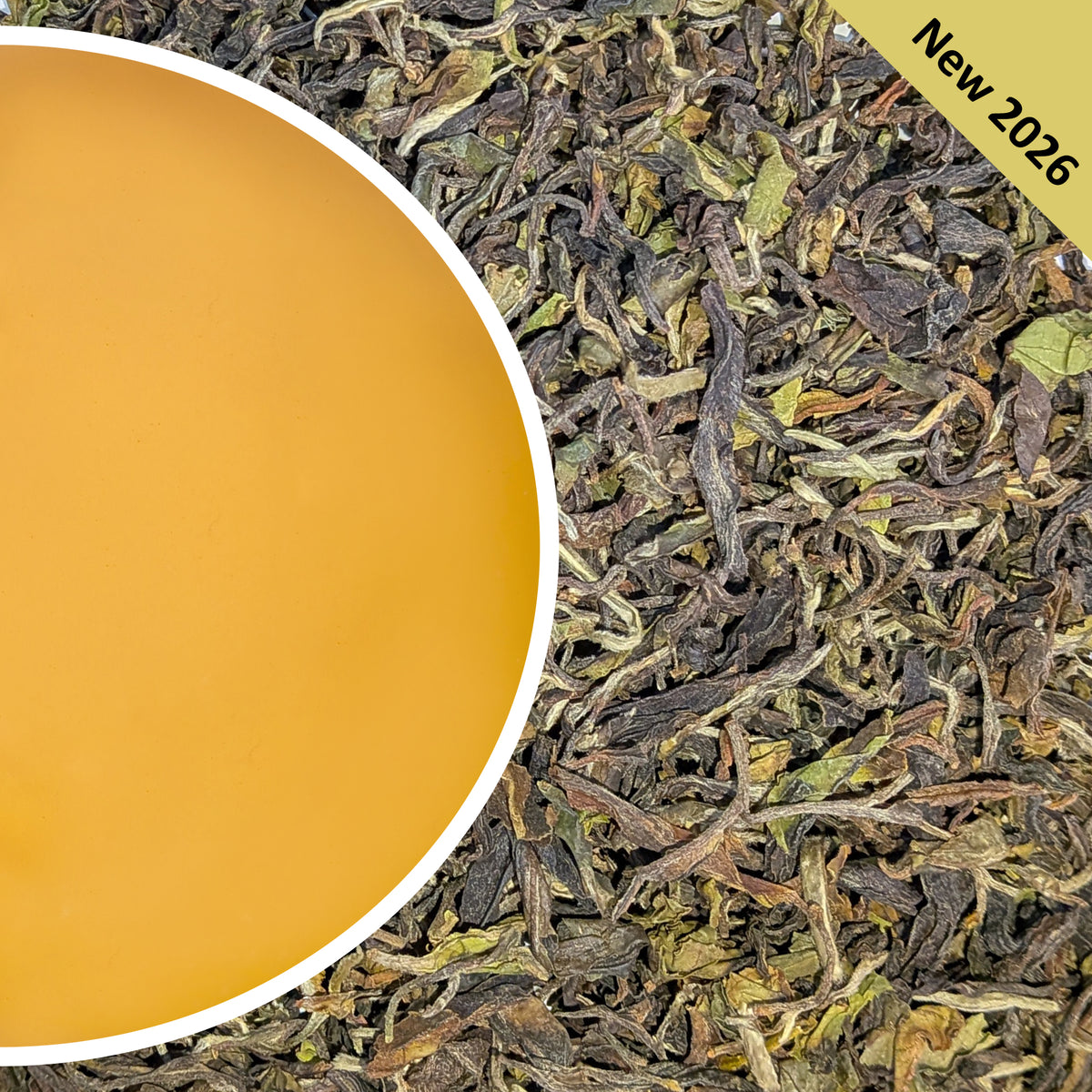 Gopaldhara - Moondrop Spring Darjeeling Tea First Flush 2026