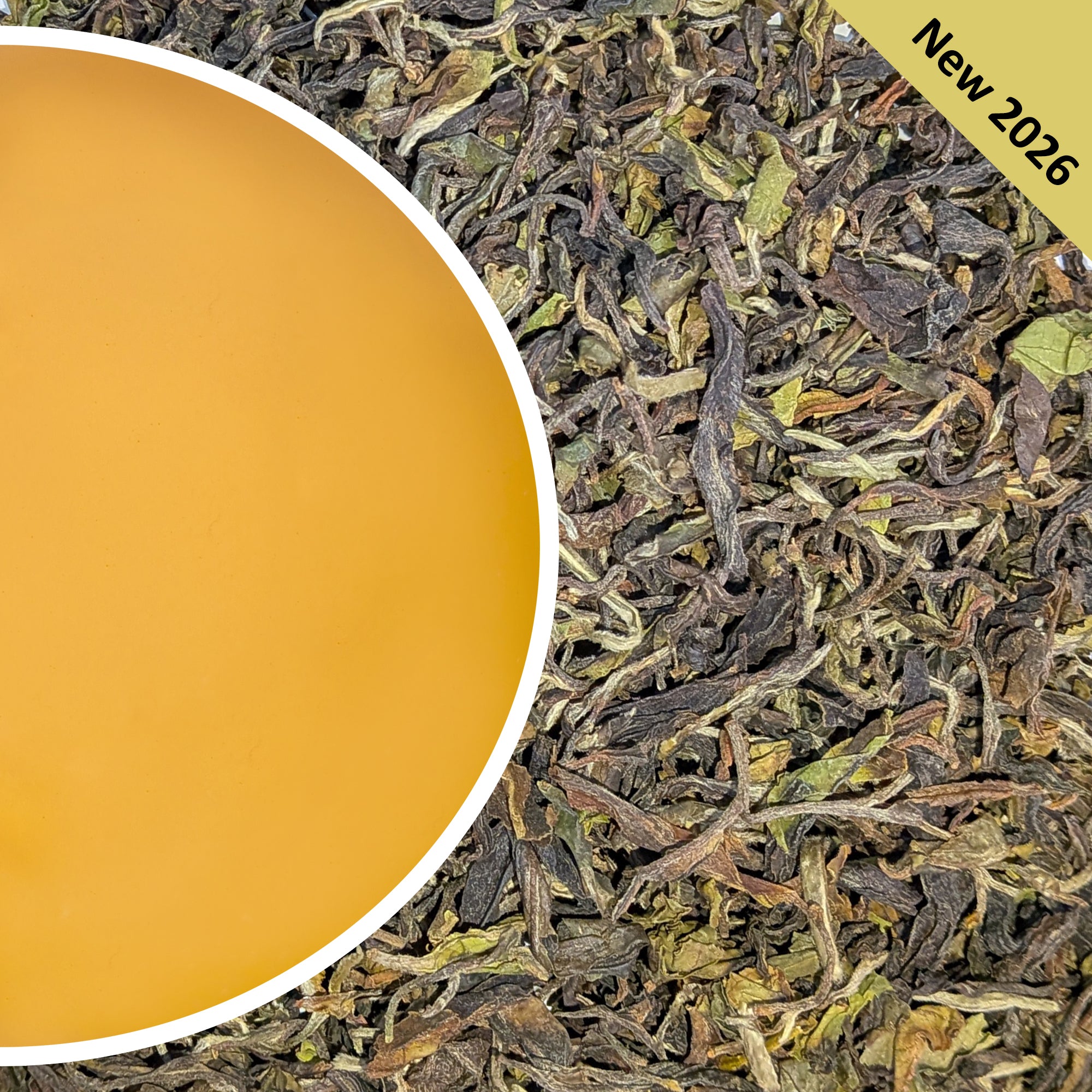 Margaret's Hope - Spring Salute Darjeeling Tea First Flush 2026