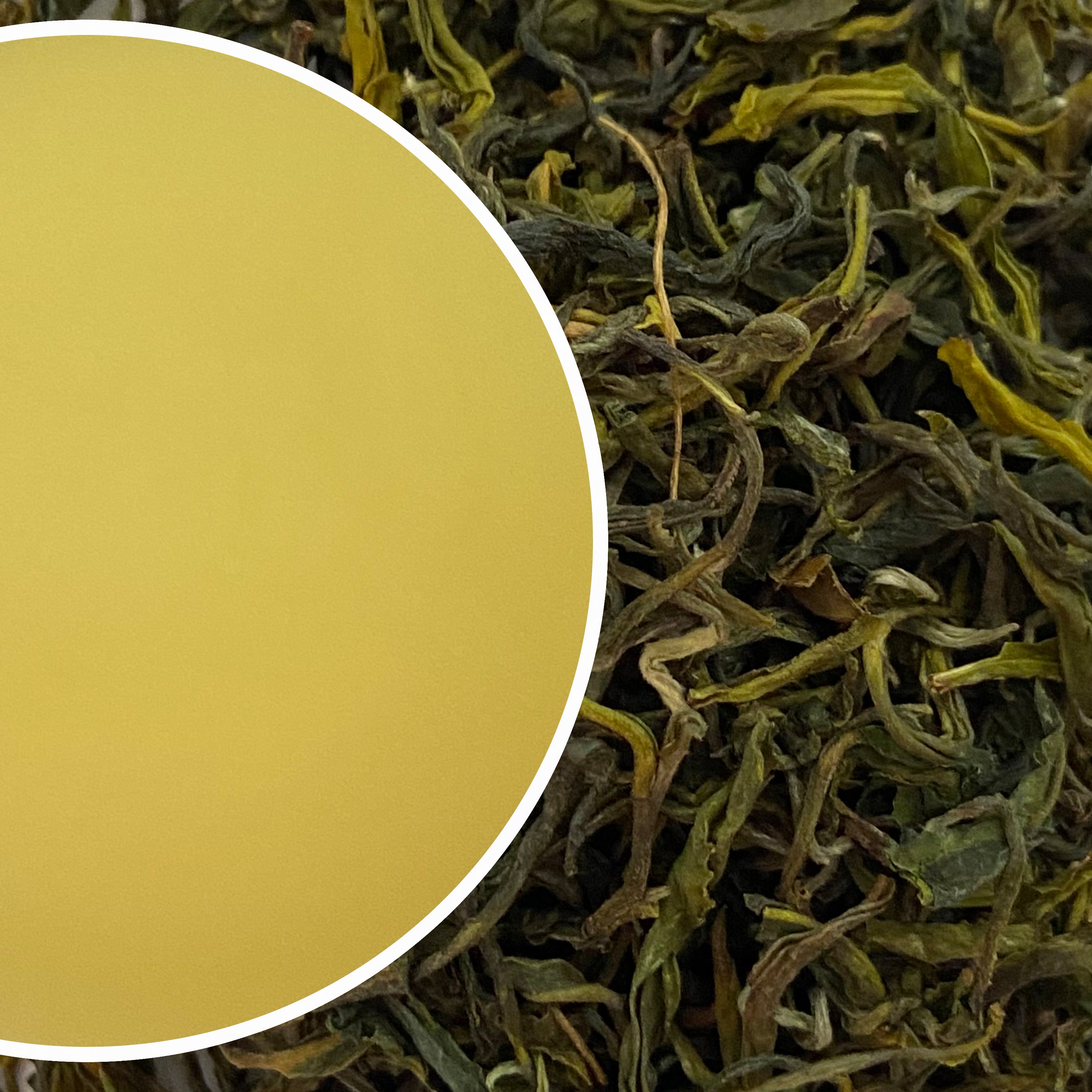 Arya - Emerald Organic Darjeeling Green Tea Second Flush 2026