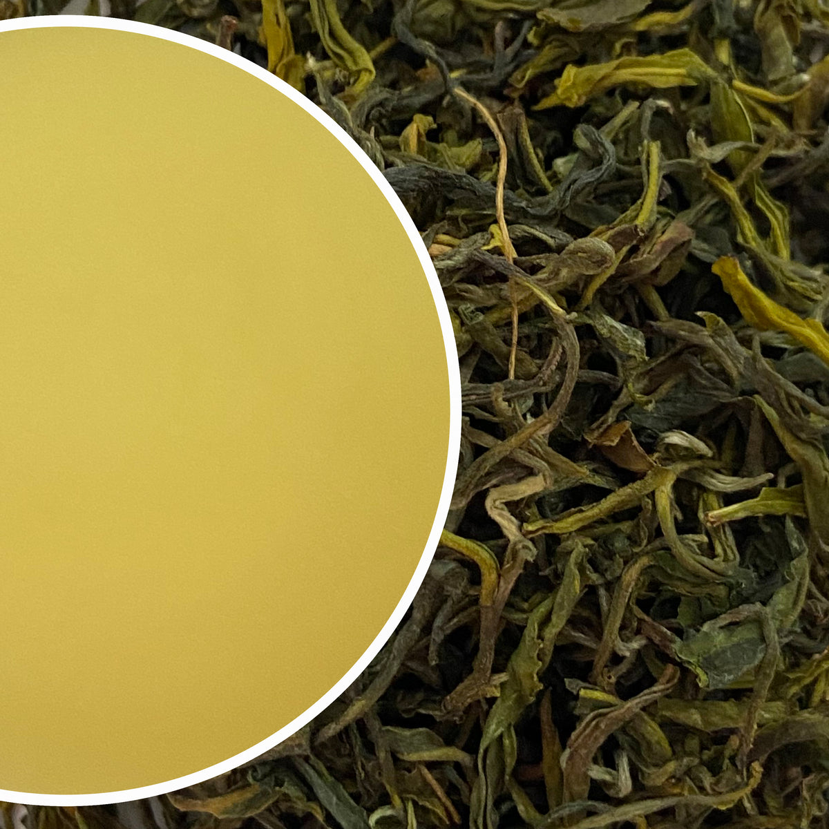 Arya - Emerald Organic Darjeeling Green Tea First Flush 2026