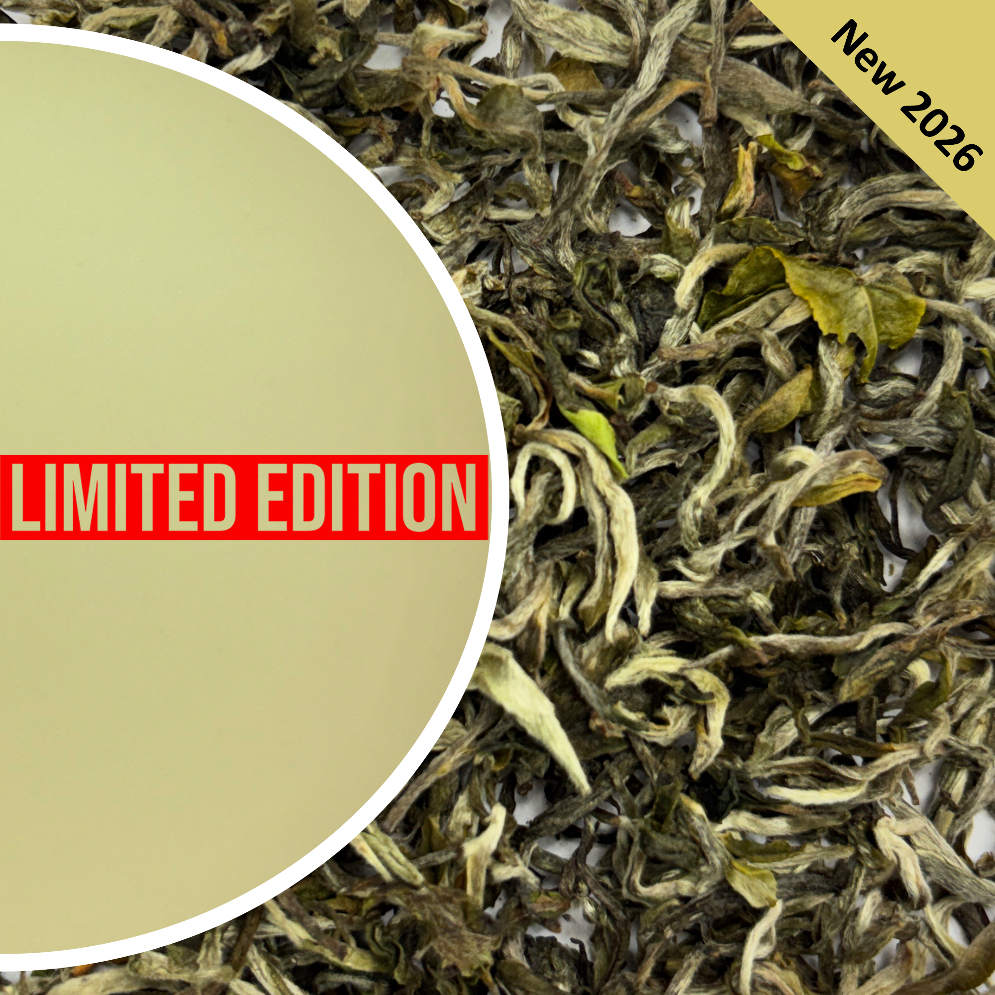 Glenburn - Spring Moonshine Darjeeling Black Tea First Flush 2026
