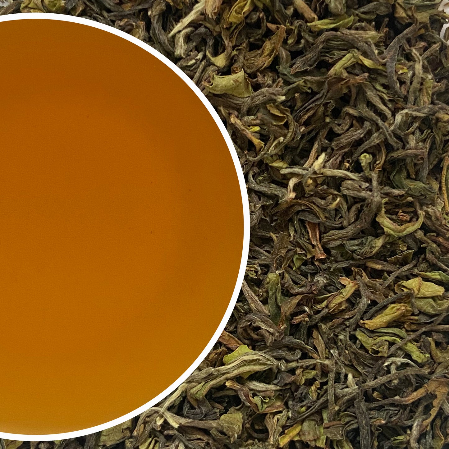 Gopaldhara - Spring Sensation Darjeeling Black Tea First Flush 2023