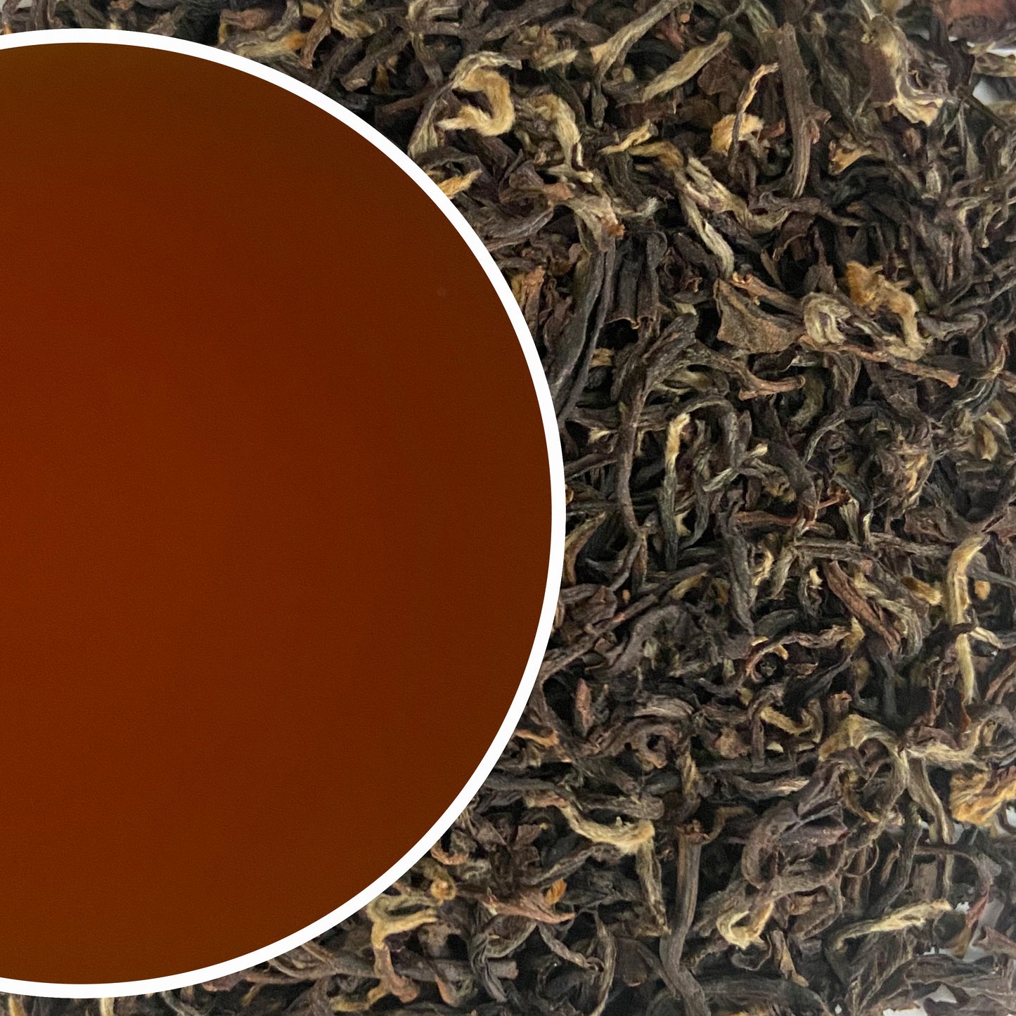 Jungpana - Summer Gilt Darjeeling Black Tea Second Flush 2023