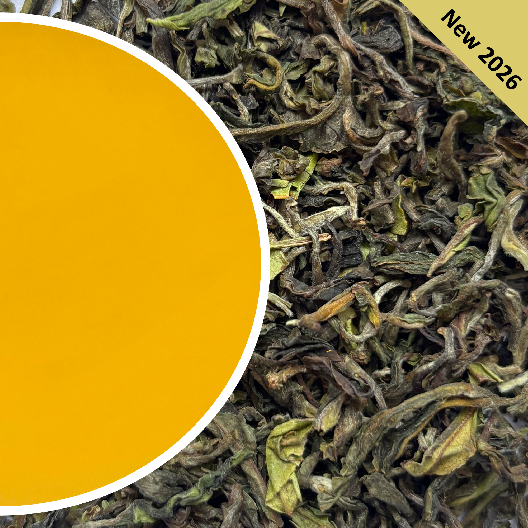 Jungpana - Spring Dazzle Darjeeling Tea First Flush 2026