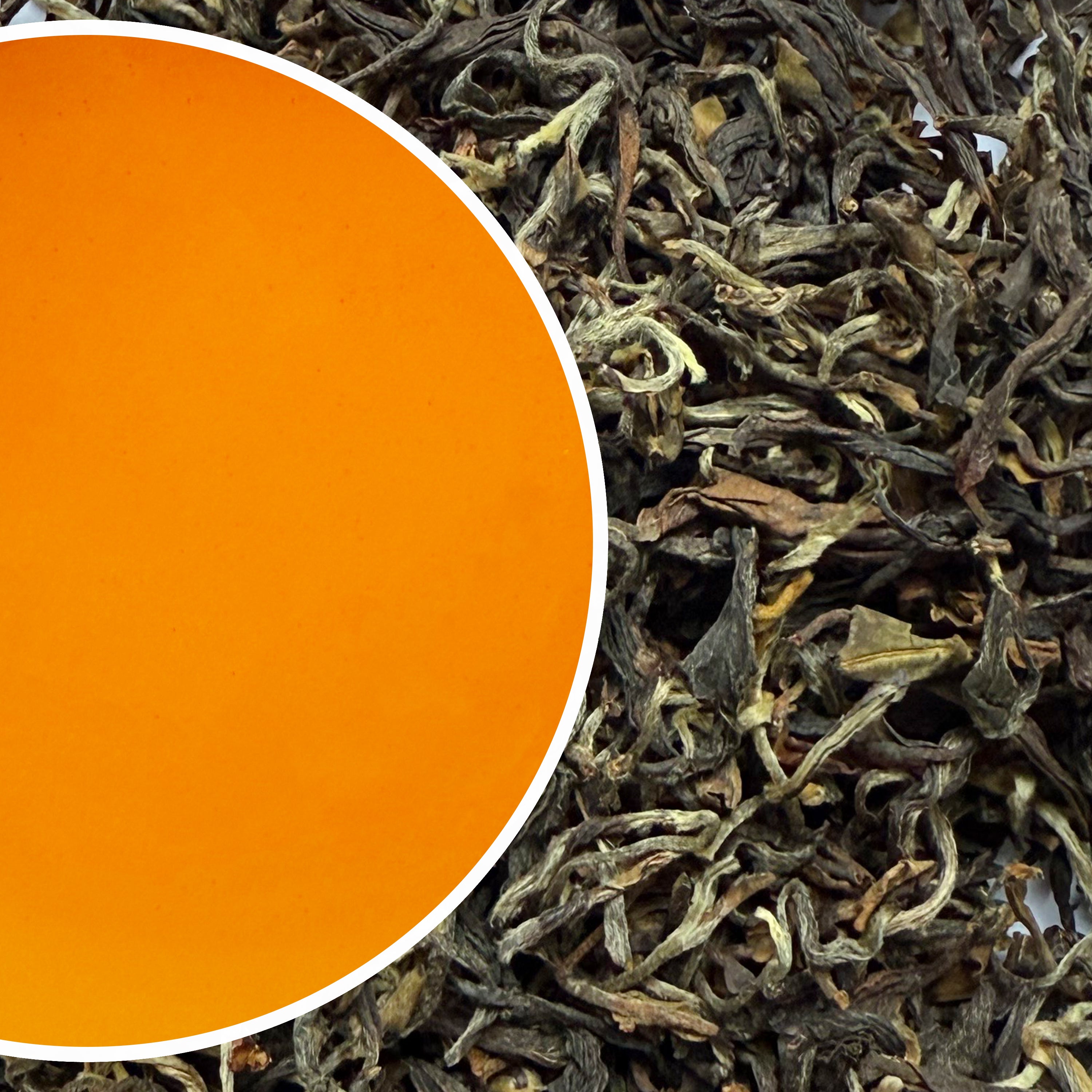 Glenburn - Summer Glare Darjeeling Black Tea Second Flush 2025