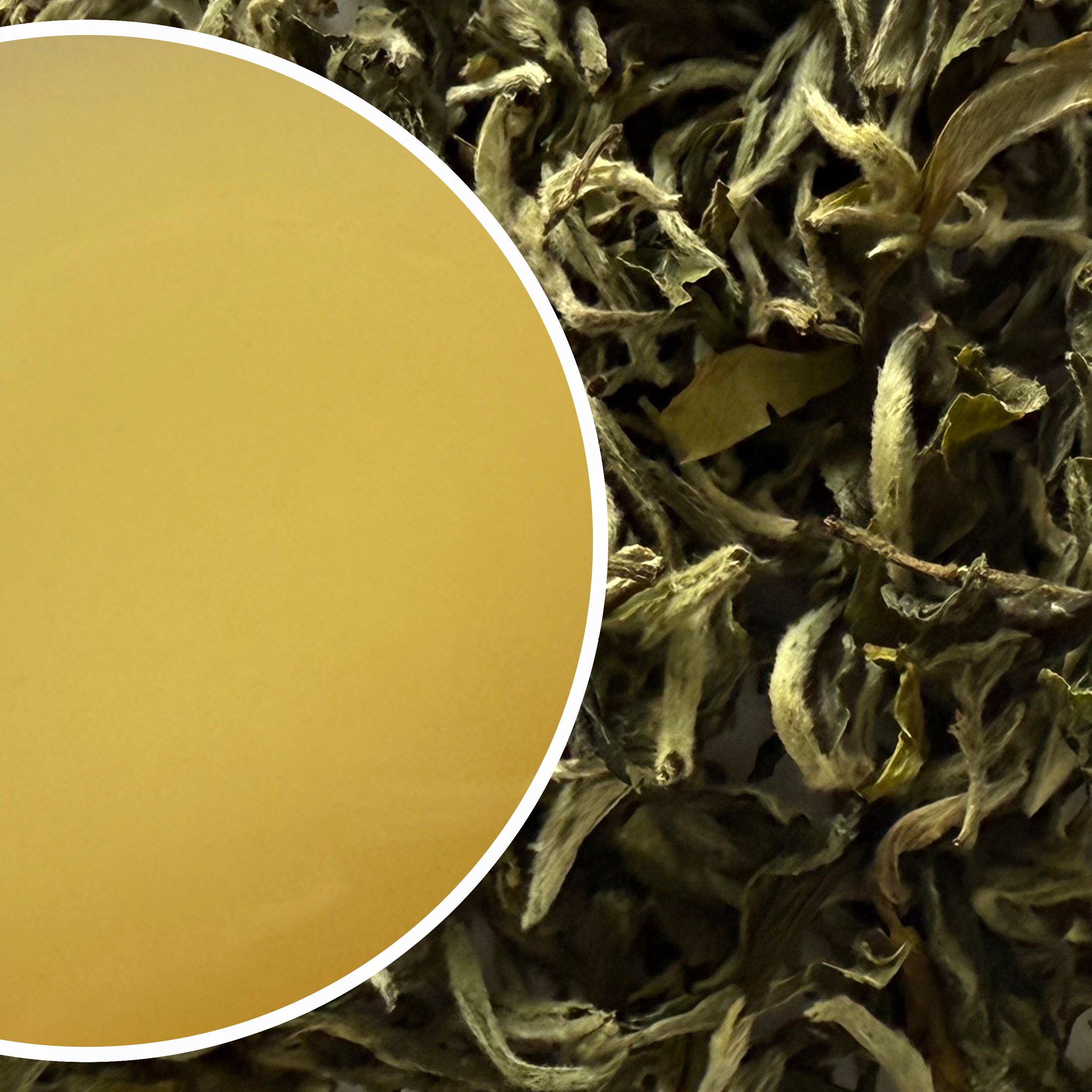 Badamtam - White Heritage Organic Darjeeling White Tea First Flush 2026