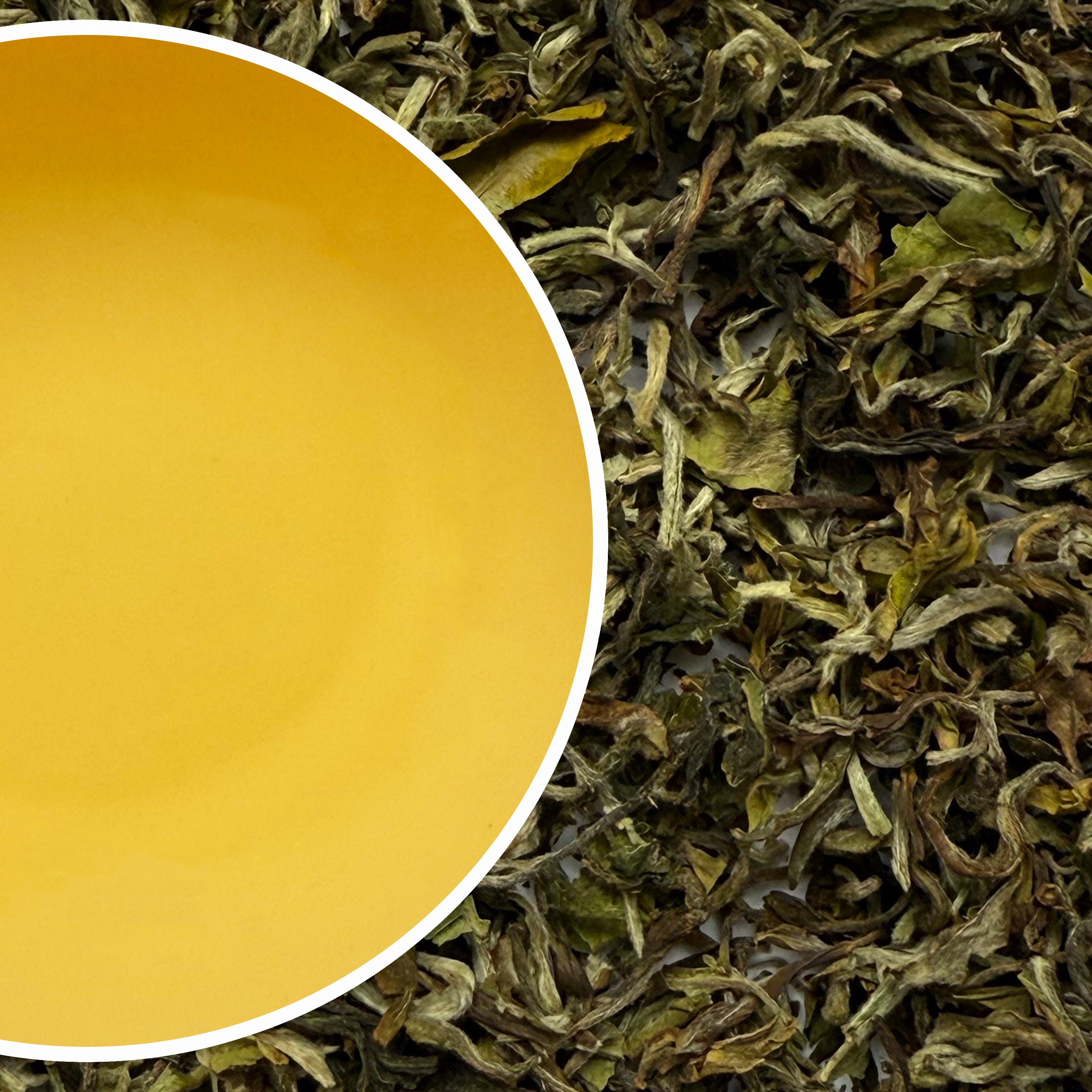 Black Darjeeling Teas – Nathmulls of Darjeeling
