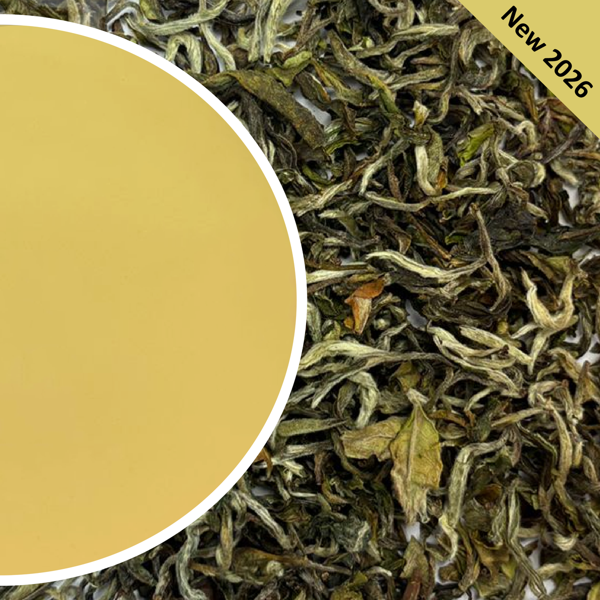 Namring Upper - Spring Delizia Darjeeling Tea First Flush 2026