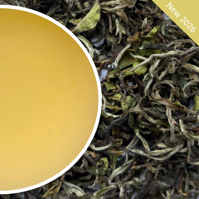 Tukvar - Spring Buds Super Star Darjeeling Black Tea First Flush 2026