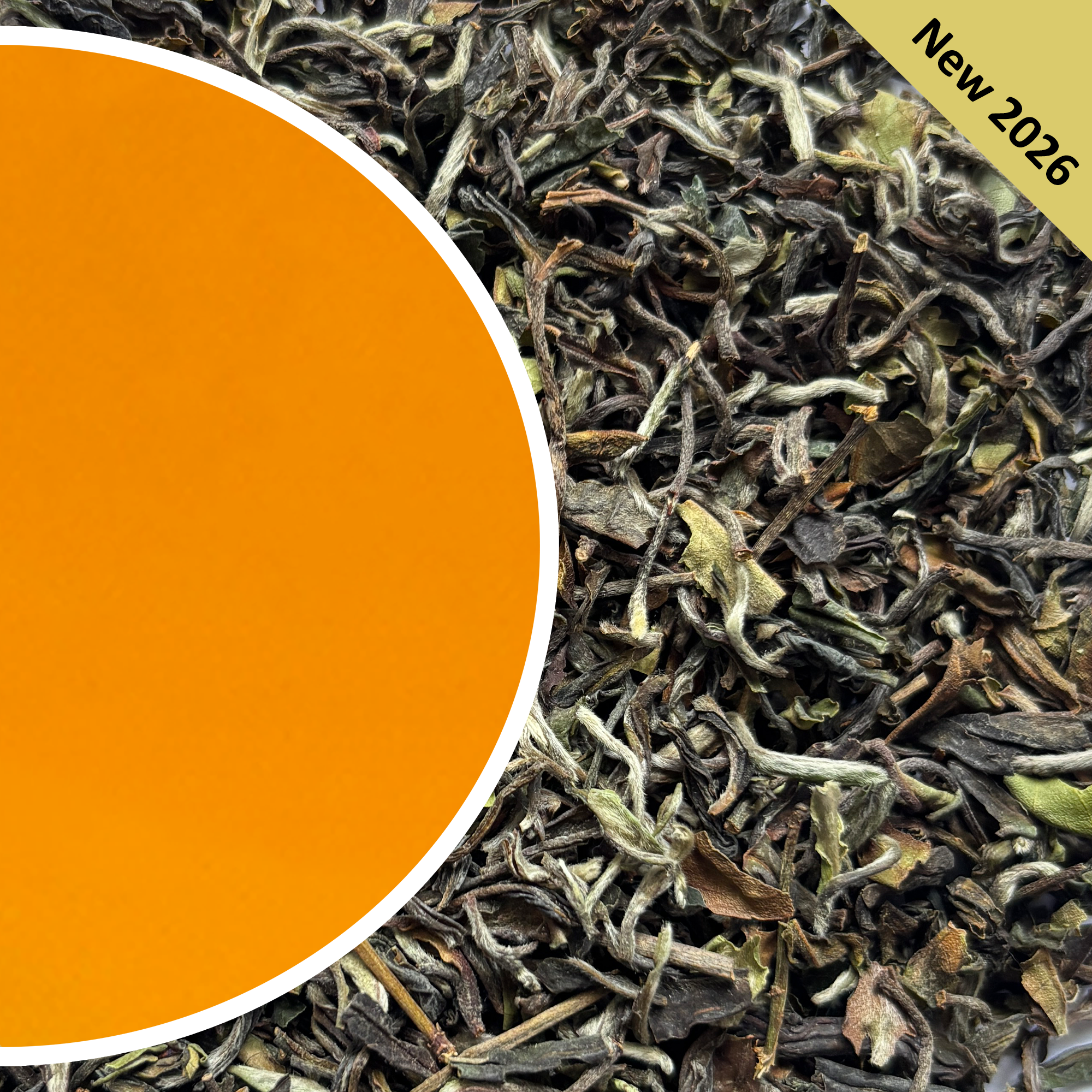 Tukvar - Spring Delight Darjeeling Tea First Flush 2026
