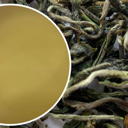 Puttabong - Spring Moondrop Organic Darjeeling Black Tea First Flush 2024