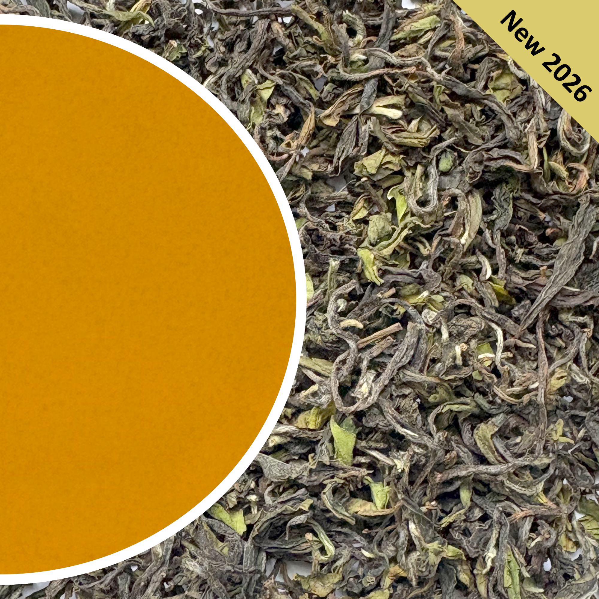 Ringtong - Spring Swing Darjeeling Tea First Flush 2026