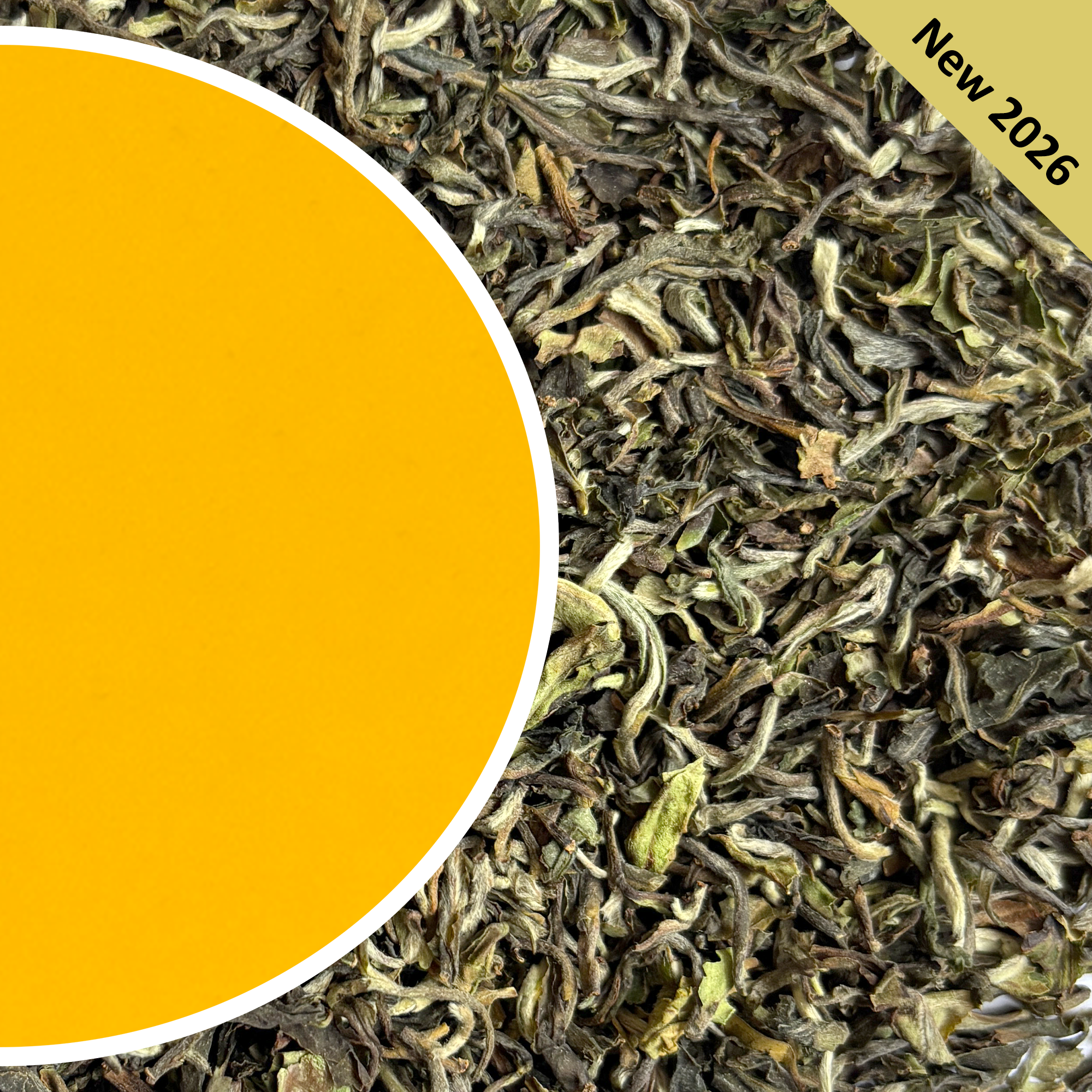 Upper Fagu - Spring Safari Darjeeling Tea First Flush 2026 – Nathmulls ...