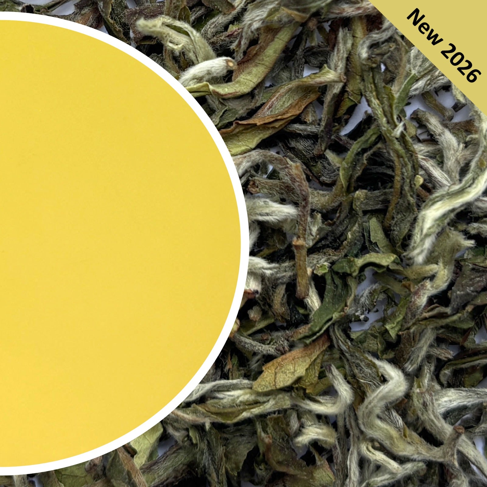 Avongrove - White Moonshine Darjeeling Tea First Flush 2026