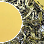 Mim - Mystical Spring Darjeeling Tea First Flush 2026