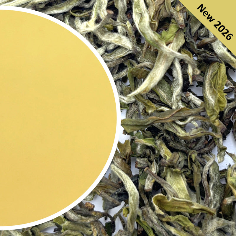 Mim - Mystical Spring Darjeeling Black Tea First Flush 2026
