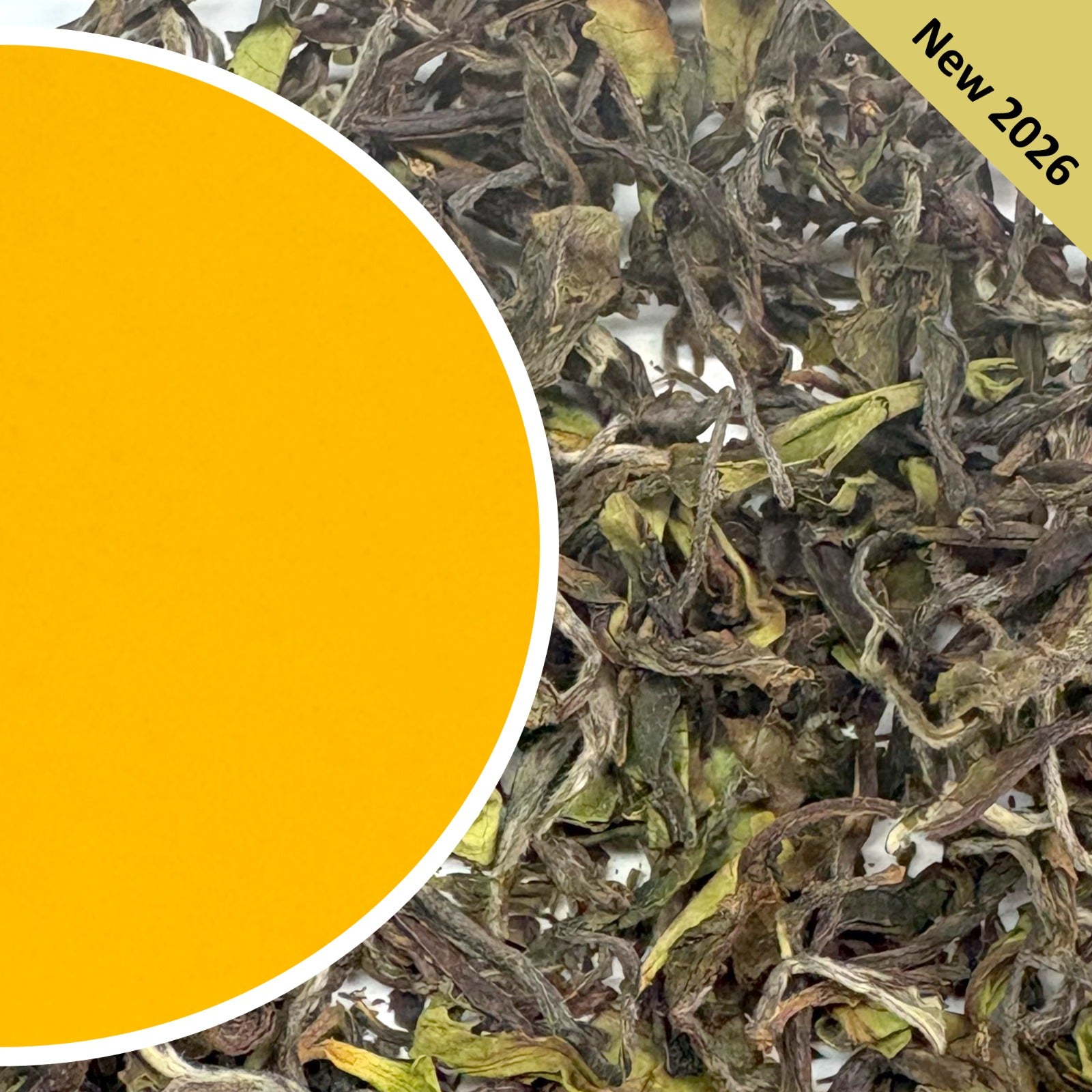 Arya - Spring Chinary Super Star Organic Darjeeling Tea First Flush 2026