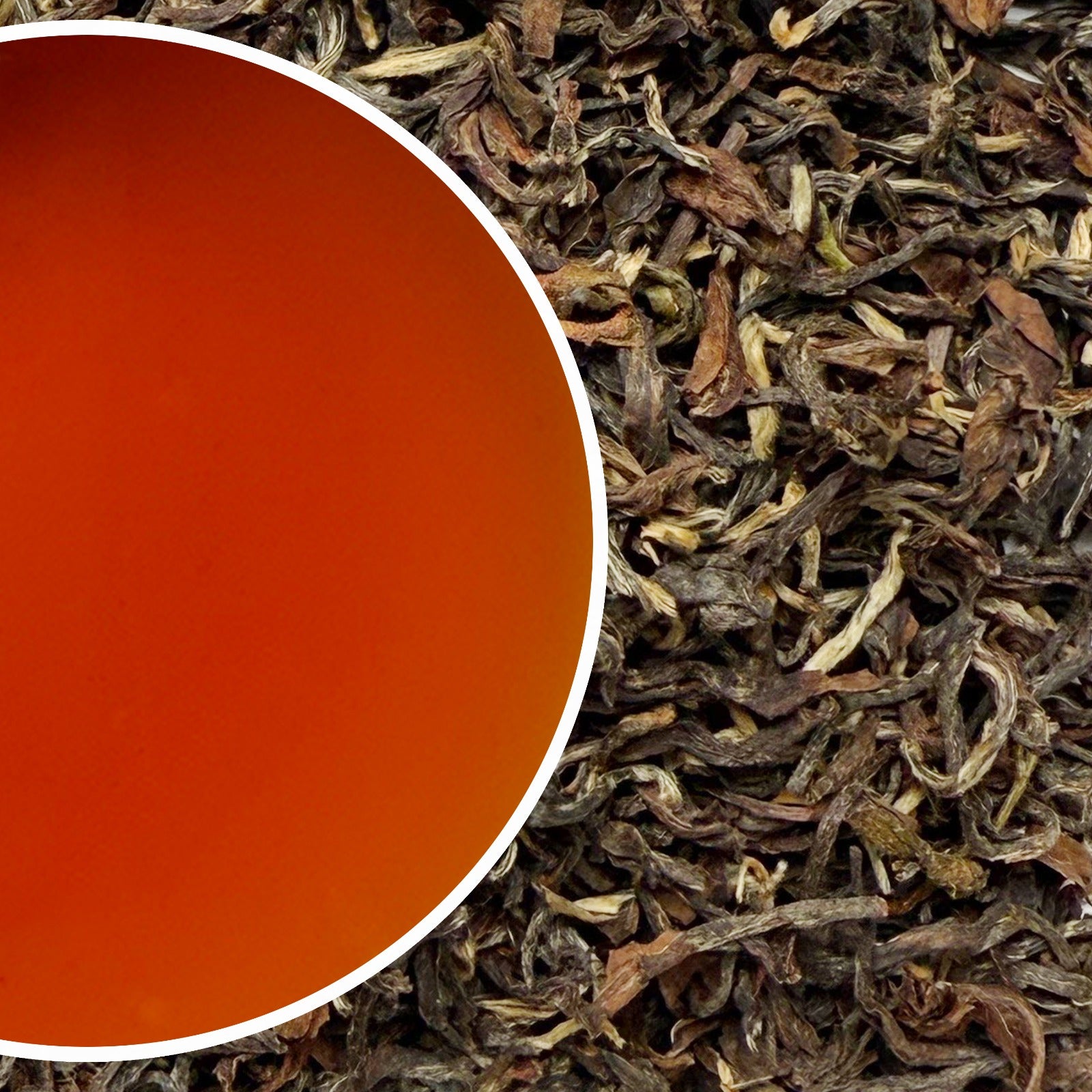 Puttabong - Summer Moondrop Grace Darjeeling Black Tea Second Flush 2025