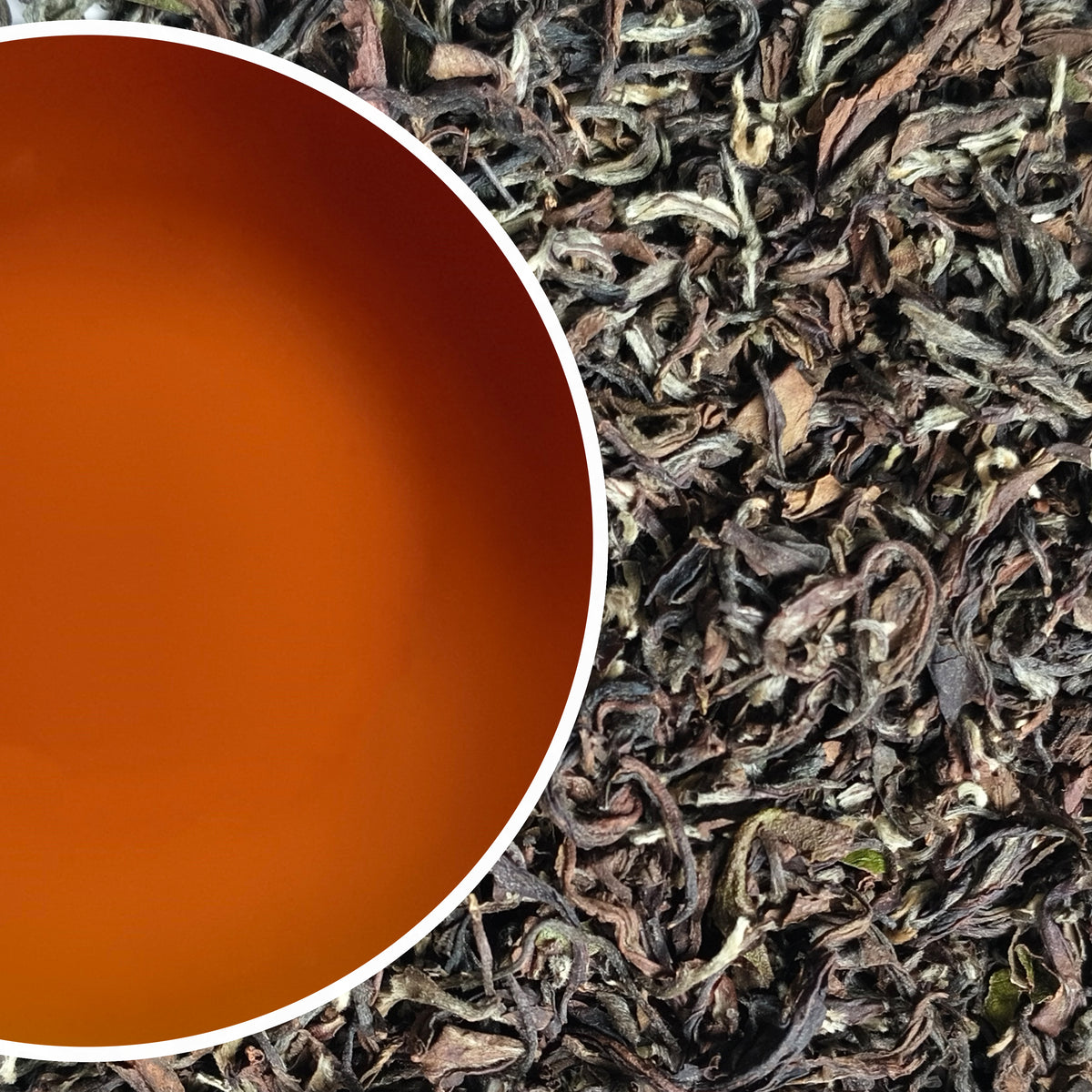 Giddapahar - AV2 Clonal Darjeeling Black Tea Second Flush 2025