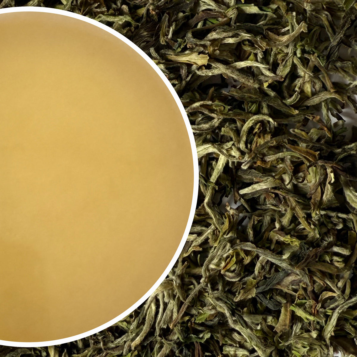 Tukvar - Spring White Wizard Darjeeling White Tea First Flush 2025