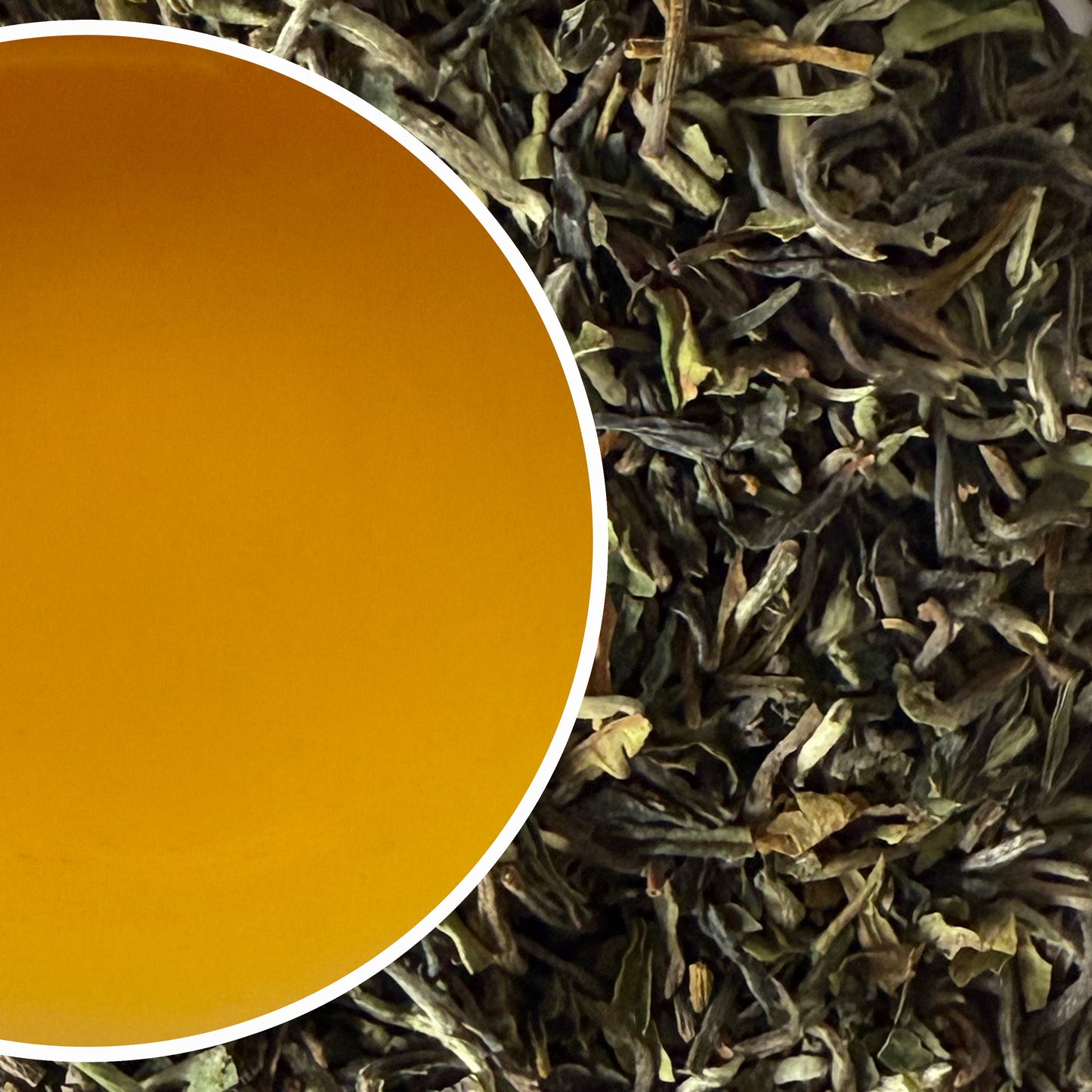 Upper Fagu - Spring Shine Darjeeling Black Tea First Flush 2025