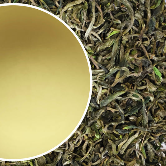 Wah - Spring King Kangra Black Tea First Flush 2025