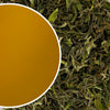 Runglee Rungliot - Spring Buzz Darjeeling Black Tea First Flush 2023