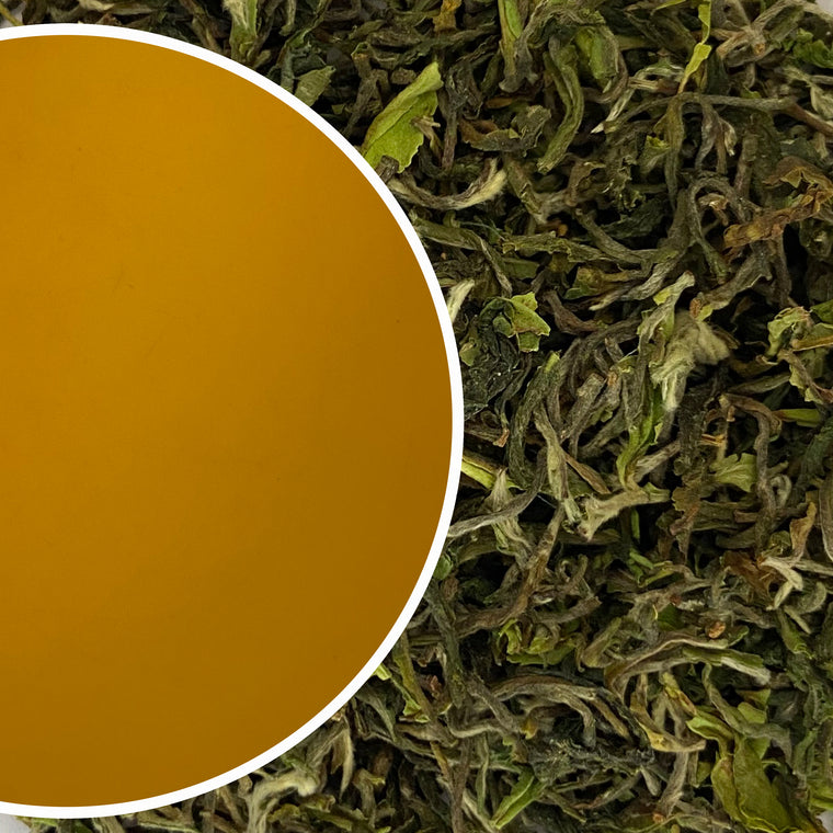Runglee Rungliot - Spring Buzz Darjeeling Black Tea First Flush 2023