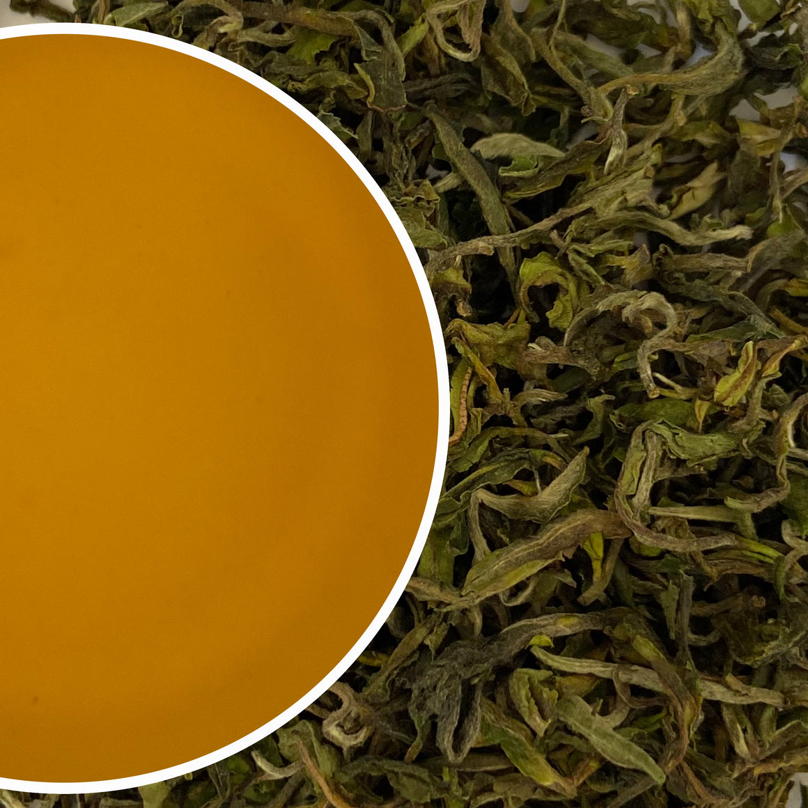 Giddapahar - SFTGFOP-I Chinary Wonder Darjeeling Black Tea First Flush 2023