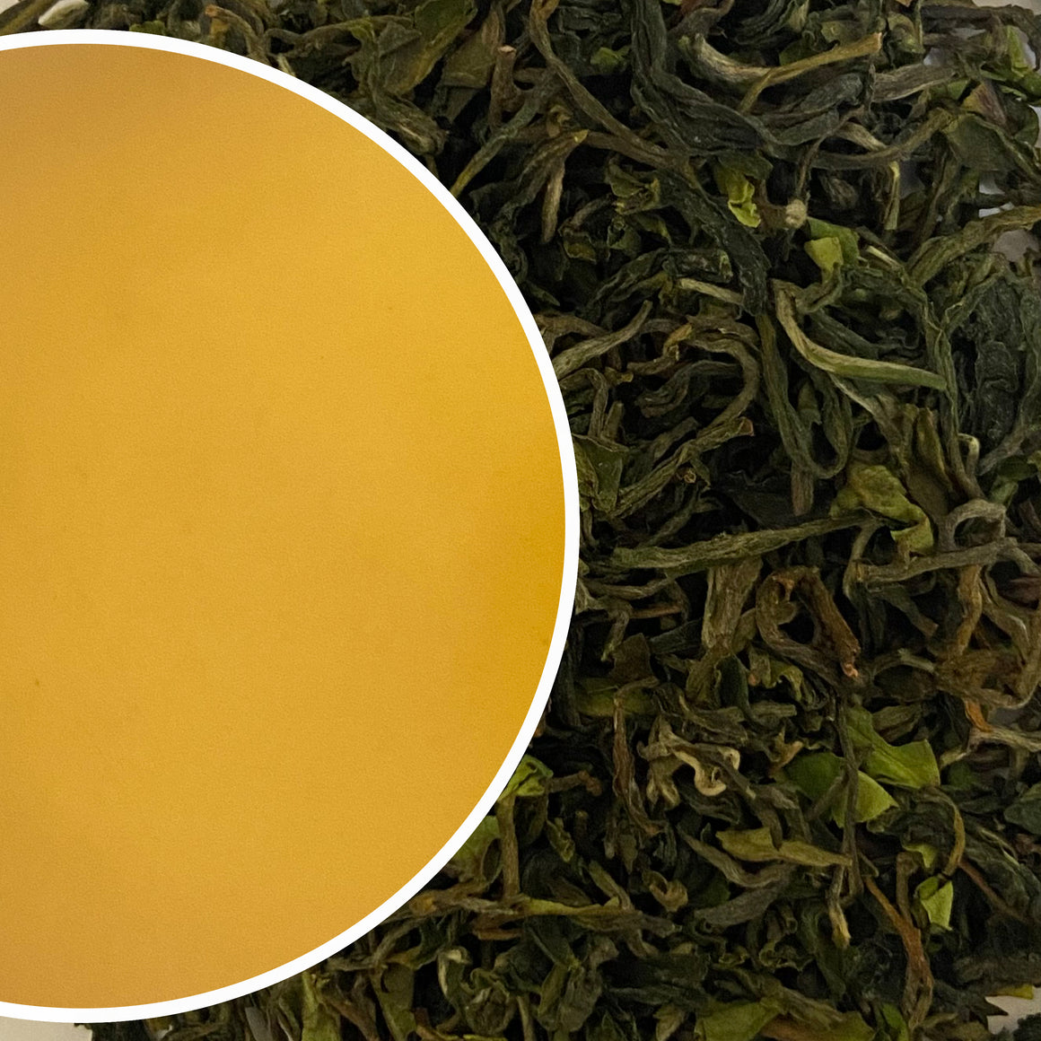 Jungpana - Spring Vista Darjeeling Black Tea First Flush 2023