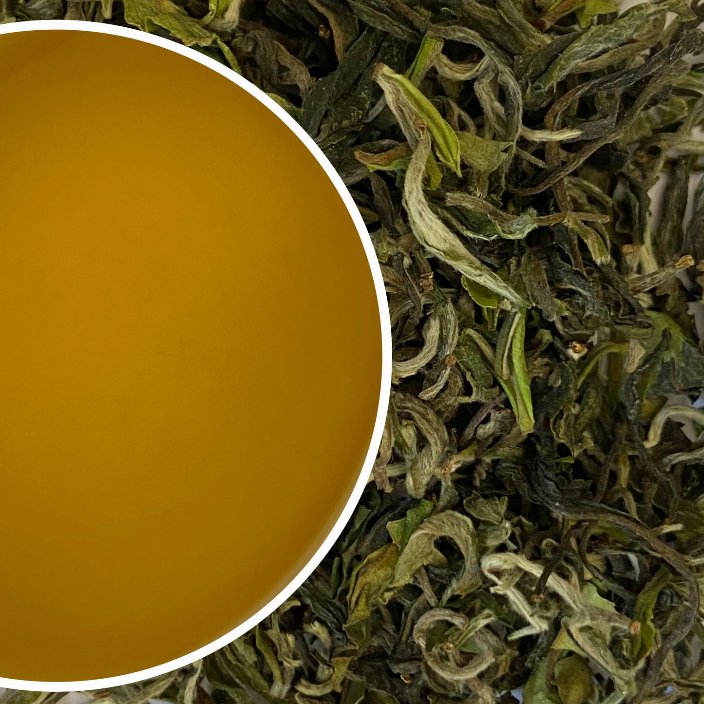Tukvar - Spring Buds Darjeeling Black Tea First Flush 2023