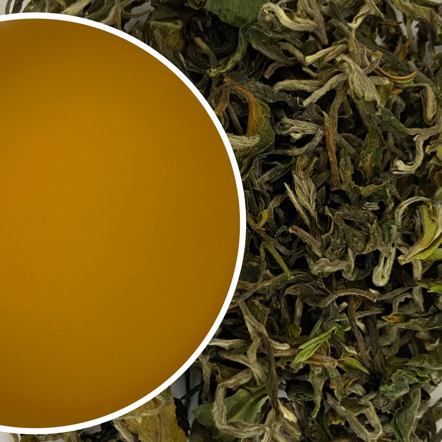 Tukvar - Spring Splendour Darjeeling Black Tea First Flush 2023