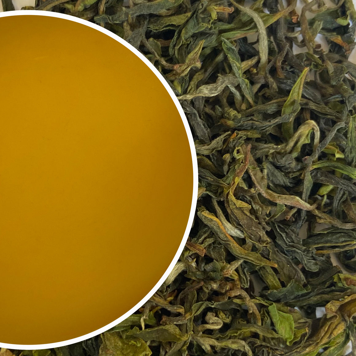 Poobong - Spring Sway Darjeeling Black Tea First Flush 2023